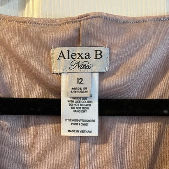 ๐HP๐ Alexa B Nites - Elegant Sleeveless V-Neck Gown Dress - Dusty Rose - Picture 4 of 7
